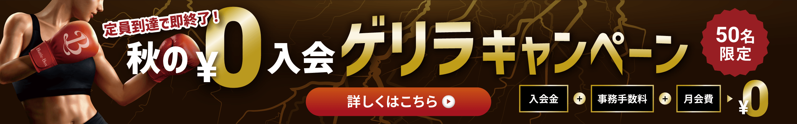 PC用キャンペーンバナー