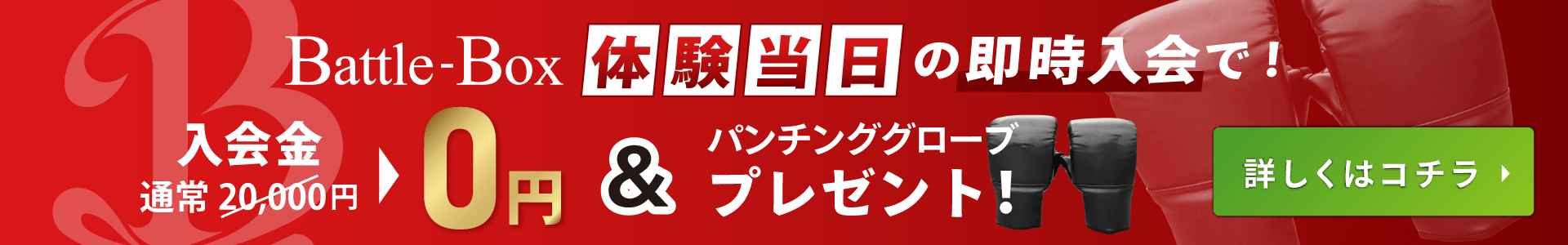 PC用キャンペーンバナー
